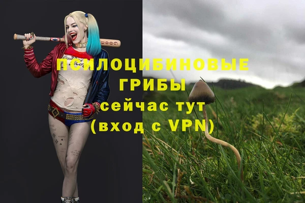 MESCALINE Вязники